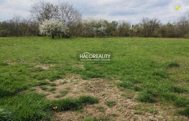 HALO reality - Predaj, pozemok pre rodinný dom   982 m2 Jur nad Hronom